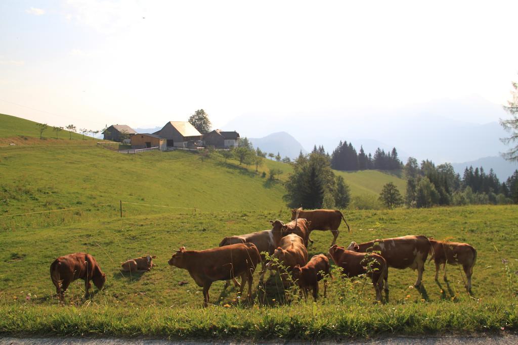 Bio-Bauernhof Kurzeck Villa Göstling an der Ybbs Dış mekan fotoğraf