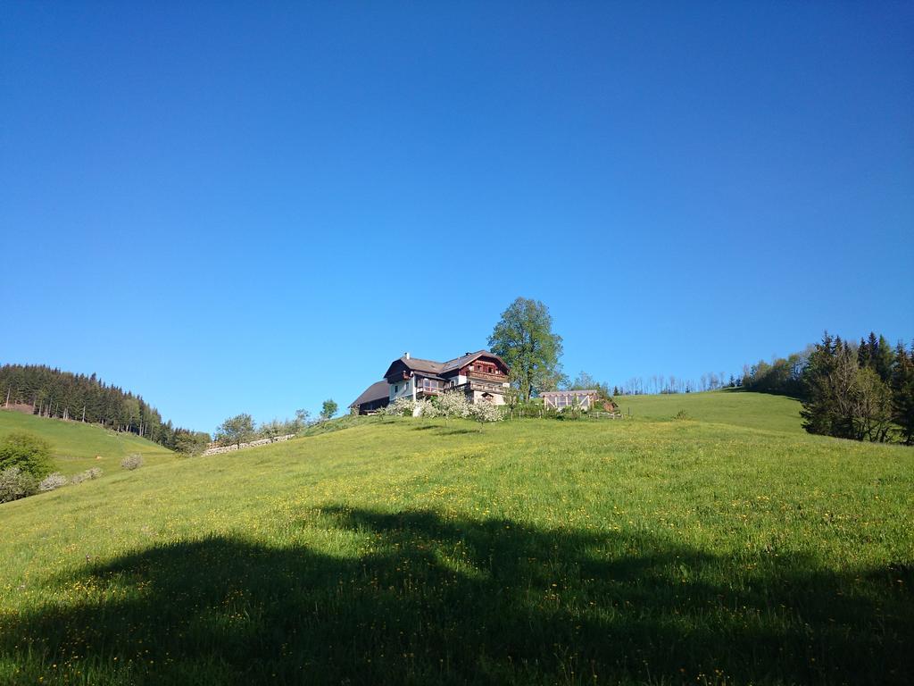 Bio-Bauernhof Kurzeck Villa Göstling an der Ybbs Dış mekan fotoğraf